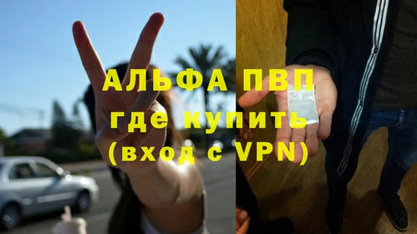 винт Абаза